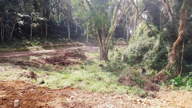 Chácara Indaial 444 — foto 4