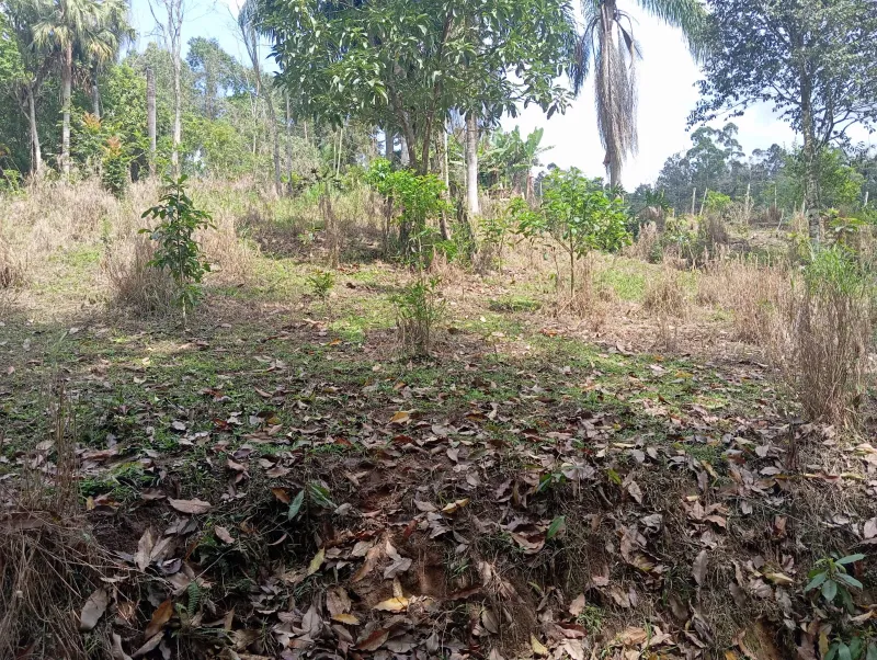 Chácara Indaial 444 — foto 5