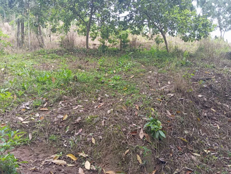 Chácara Indaial 444 — foto 7