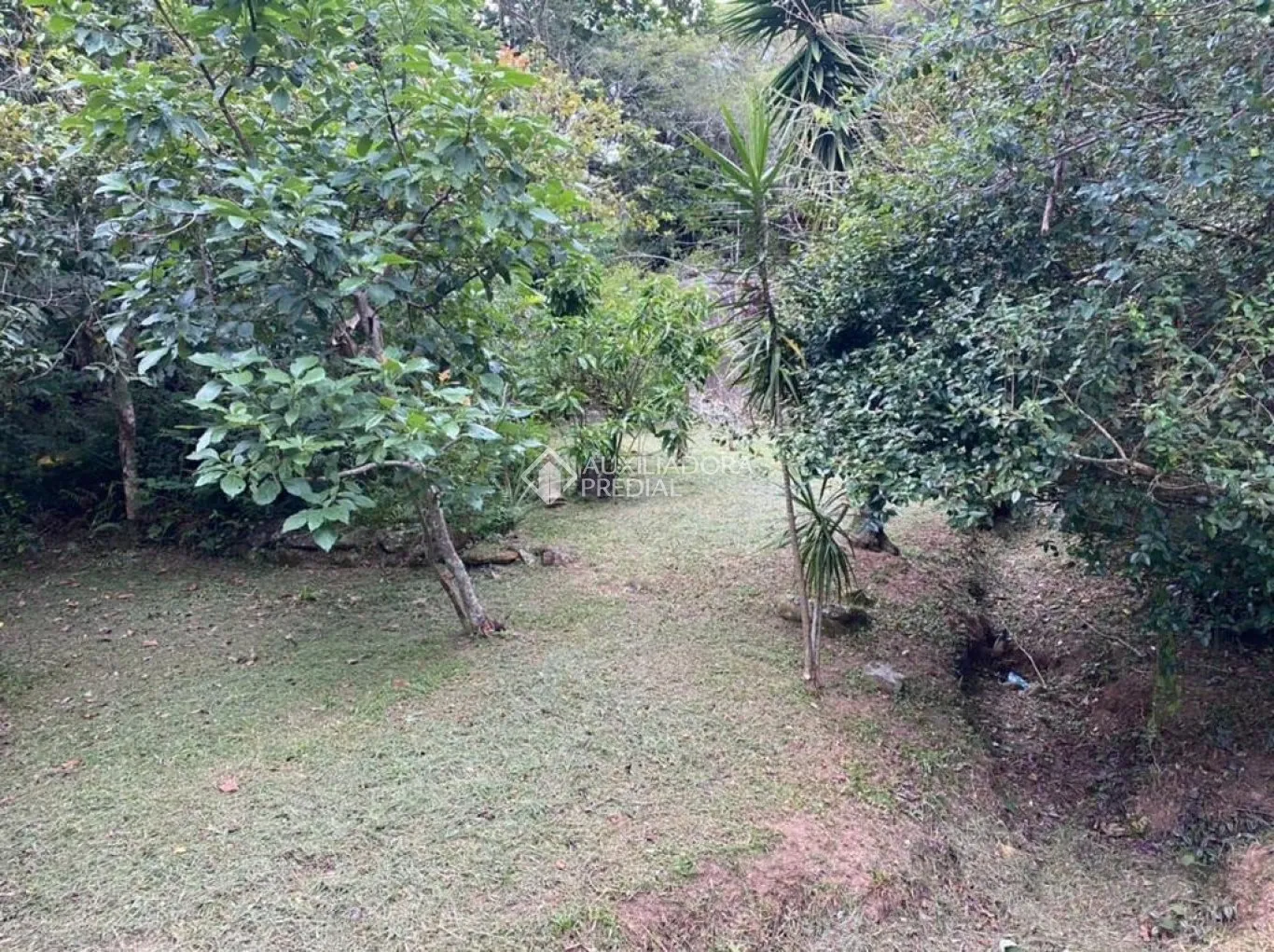 Imóvel — foto 2