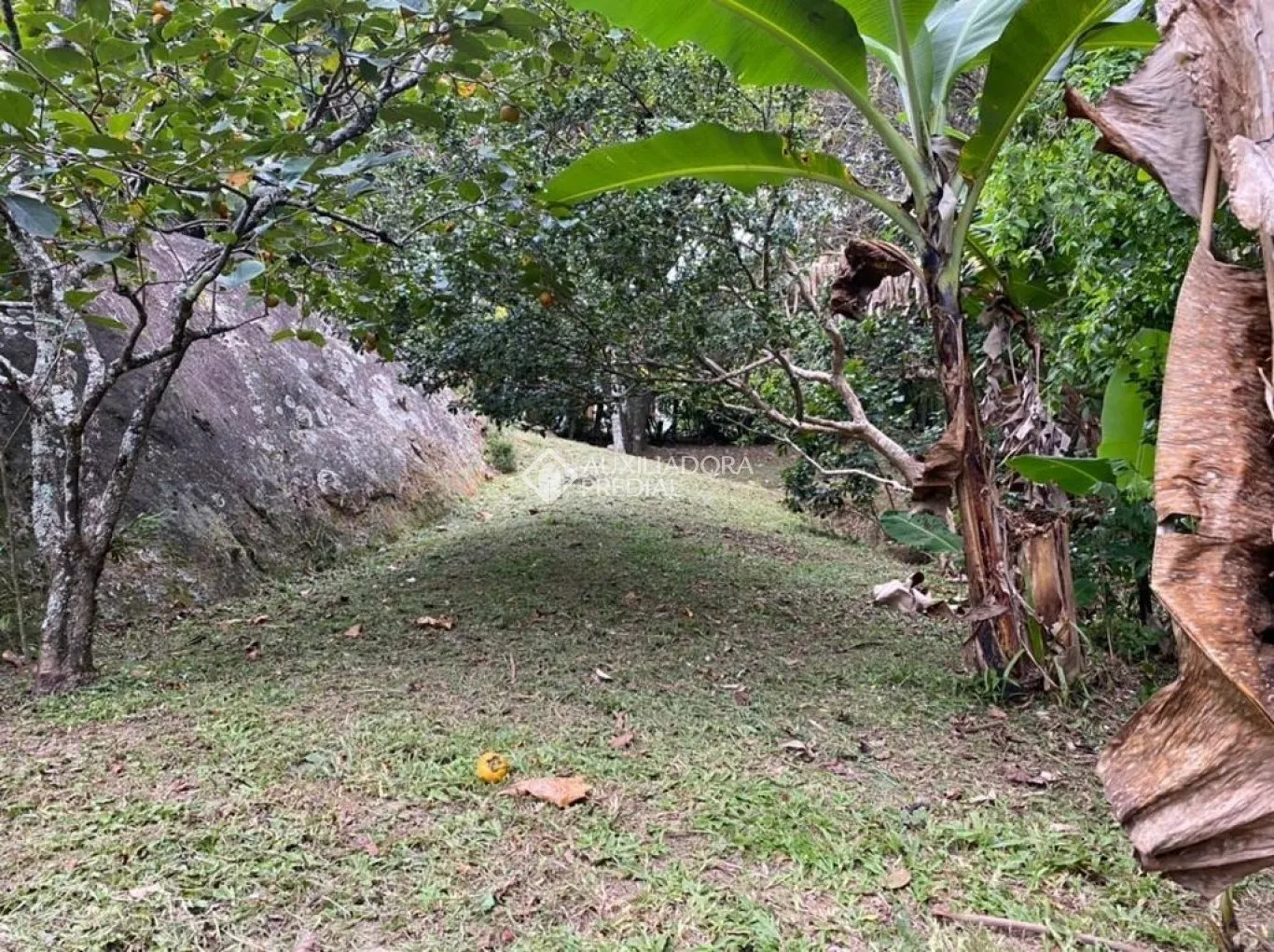 Imóvel — foto 7