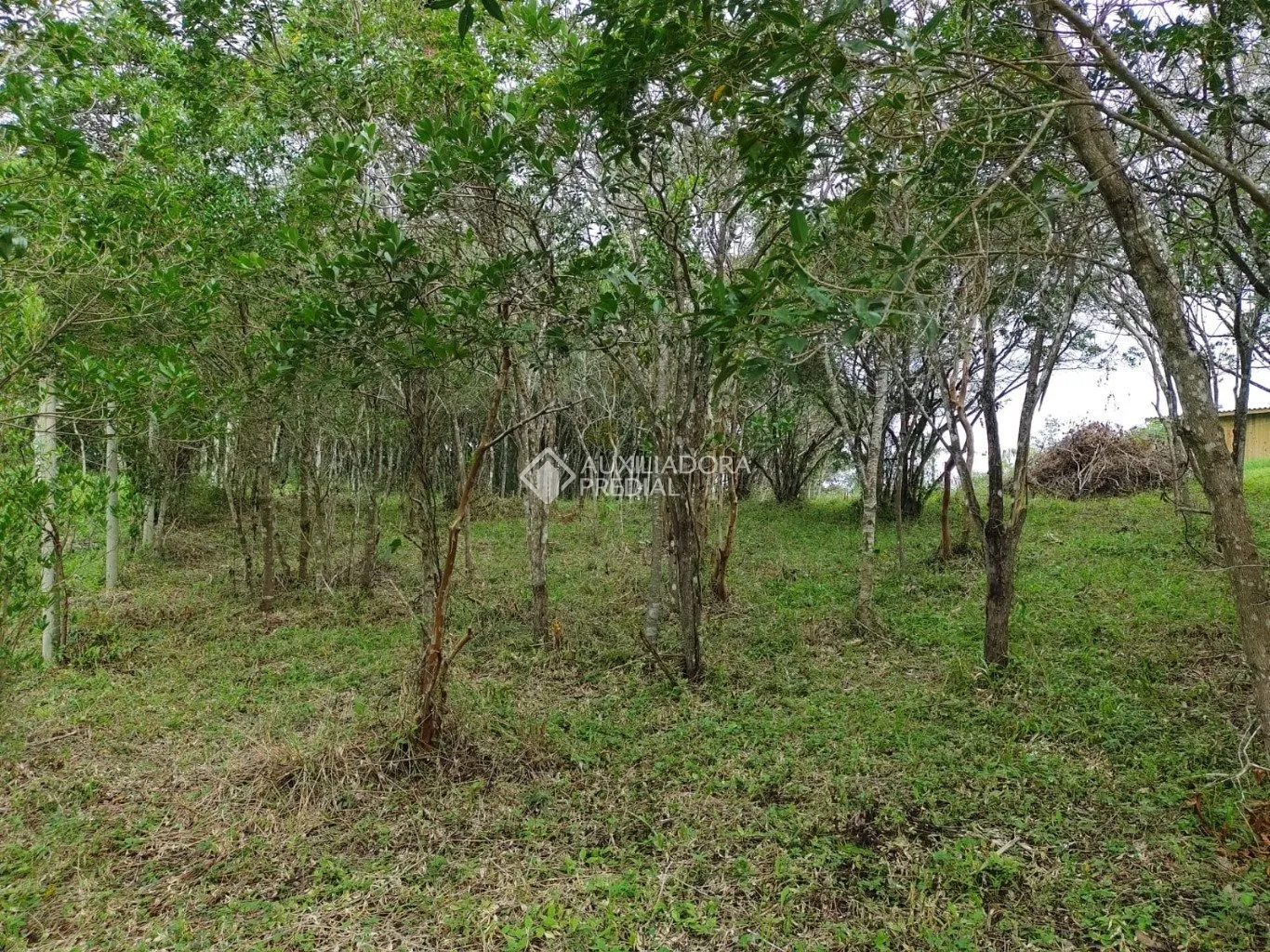 Imóvel — foto 6