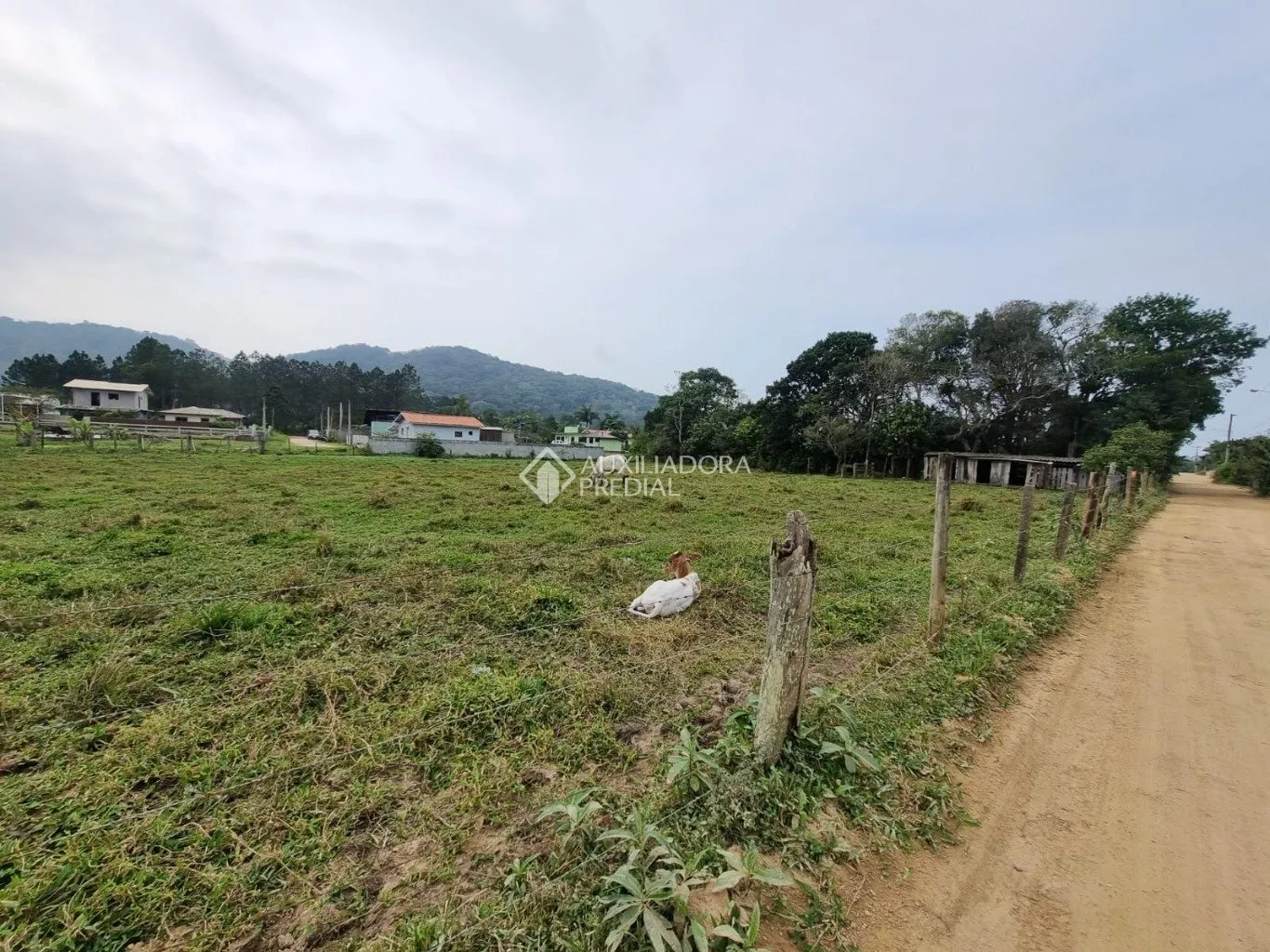 Imóvel — foto 3