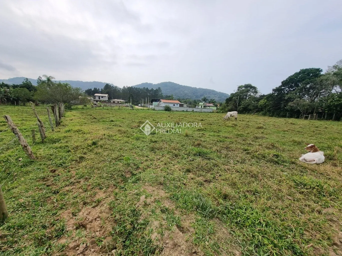 Imóvel — foto 4