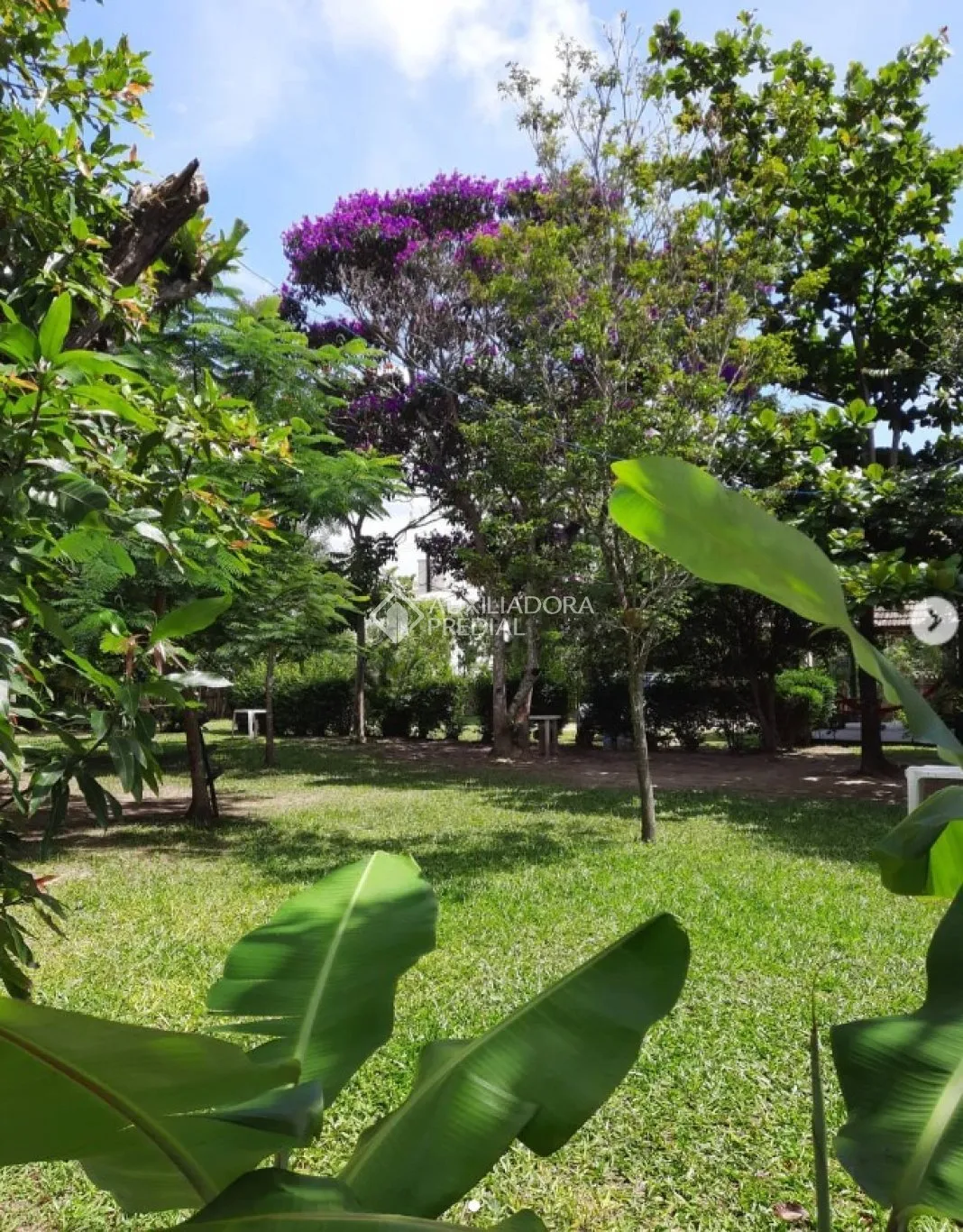 Imóvel — foto 7