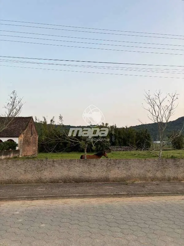 ASCURRA RIBEIRÃO SÃO PAULO - foto 1