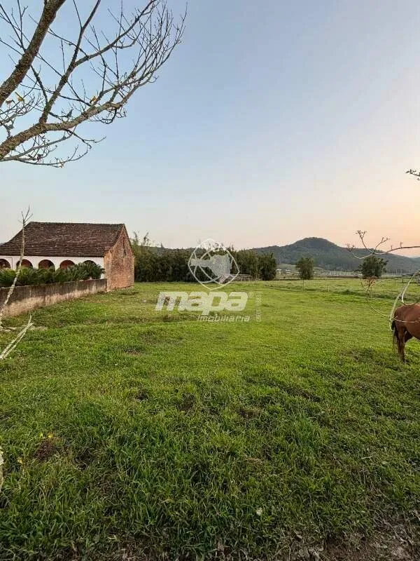 ASCURRA RIBEIRÃO SÃO PAULO — foto 2