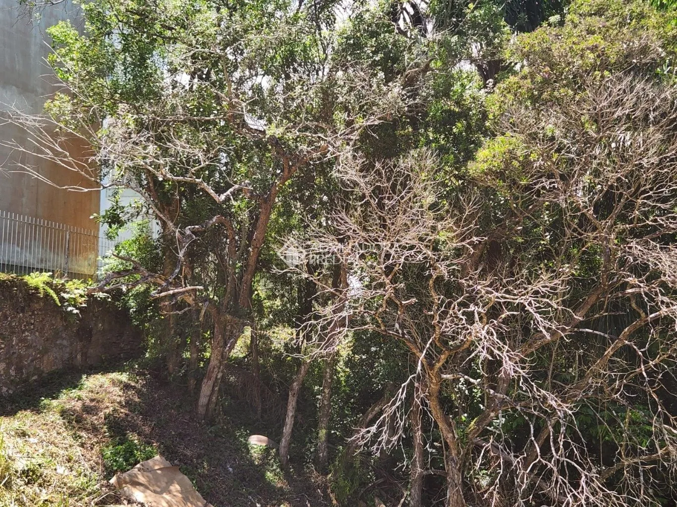 Imóvel — foto 5