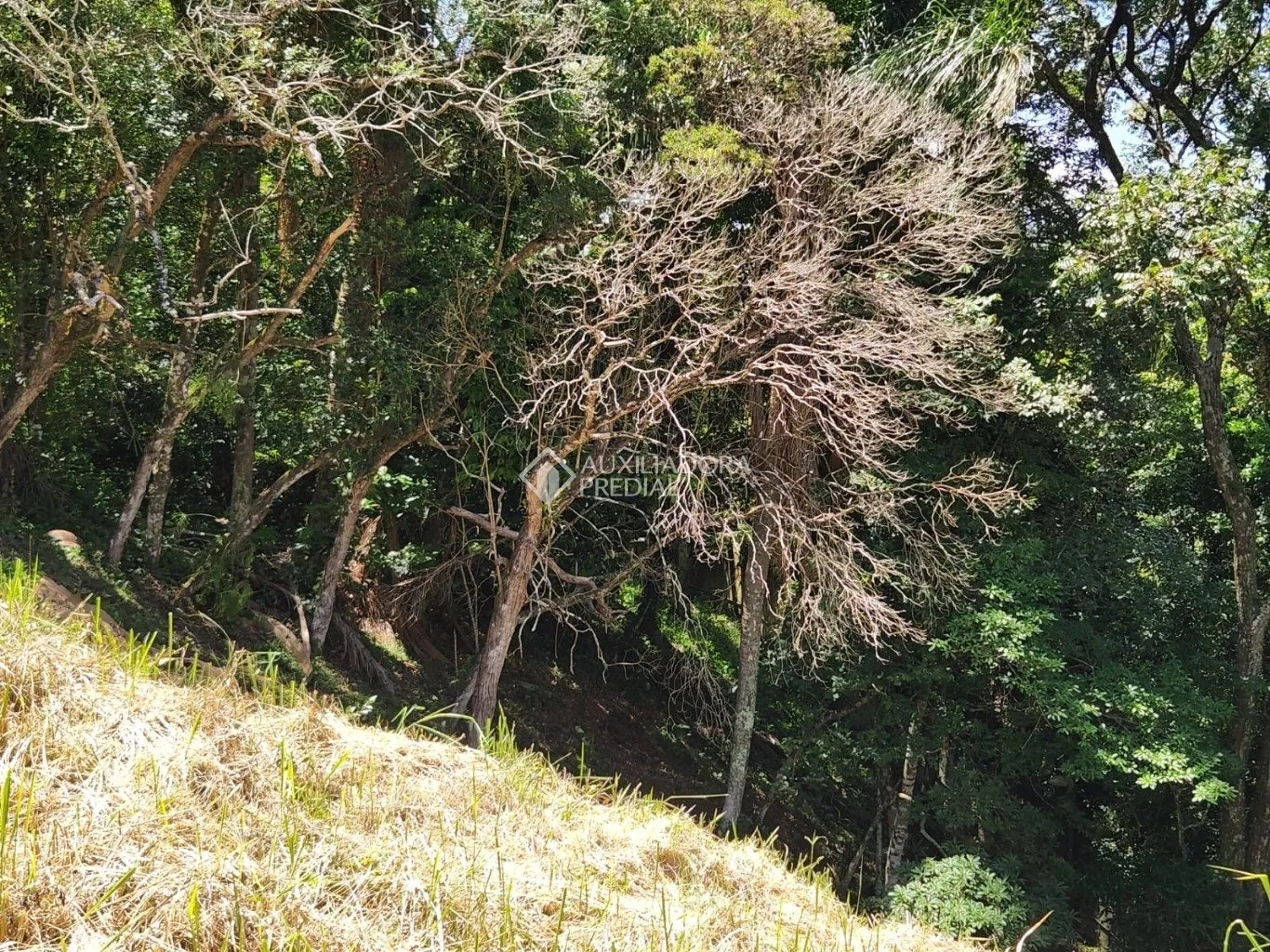 Imóvel — foto 7