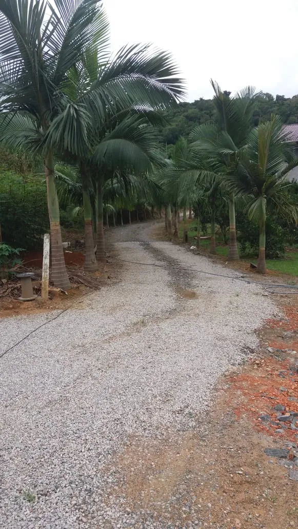 VENDO SITIO — foto 2