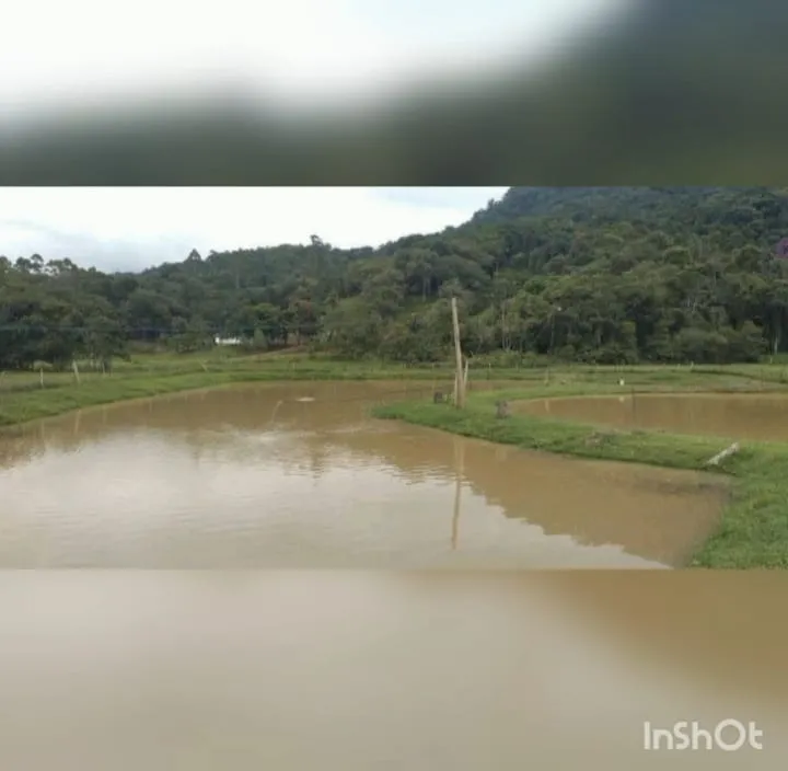 VENDO SITIO — foto 4