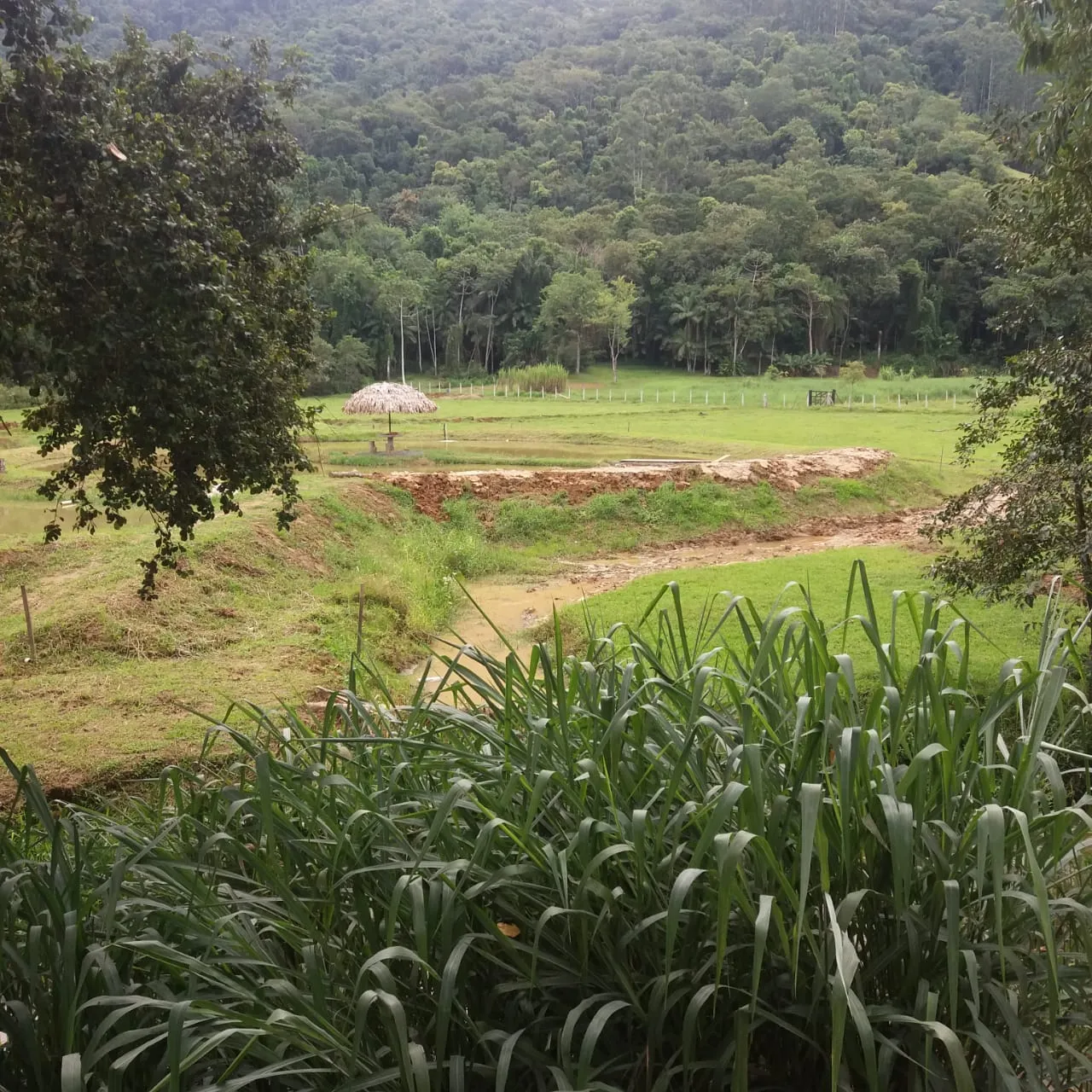 VENDO SITIO — foto 5