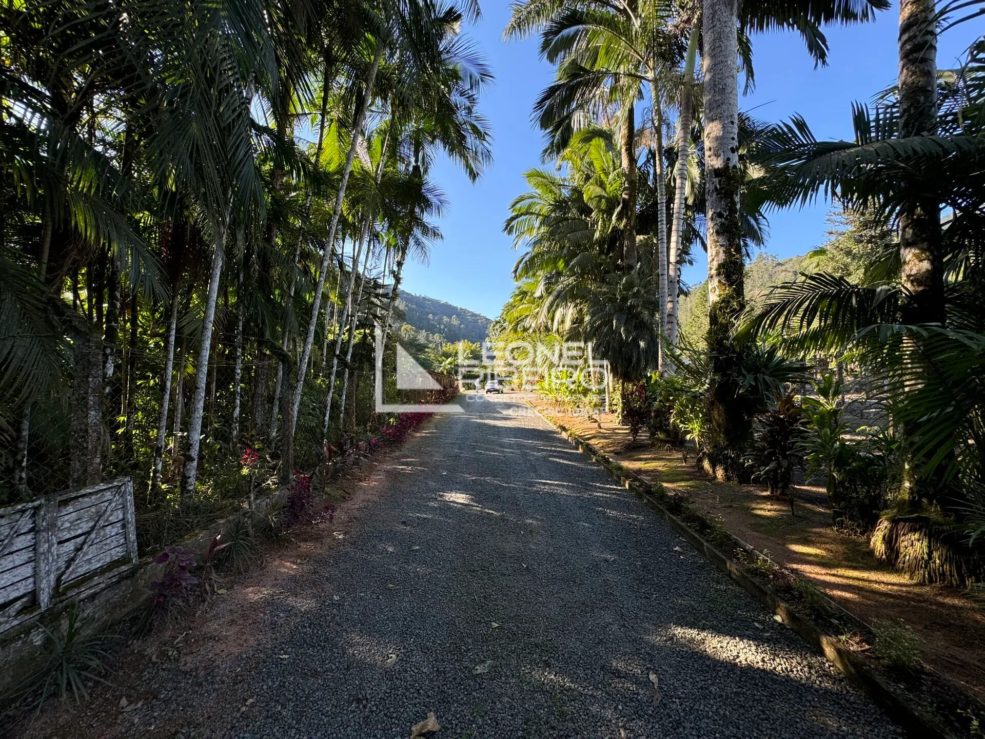 Sítio com 4 dormitórios à venda, 36.000m no Bairro Alto Pomeranos em Rio dos Cedros/SC. — foto 4