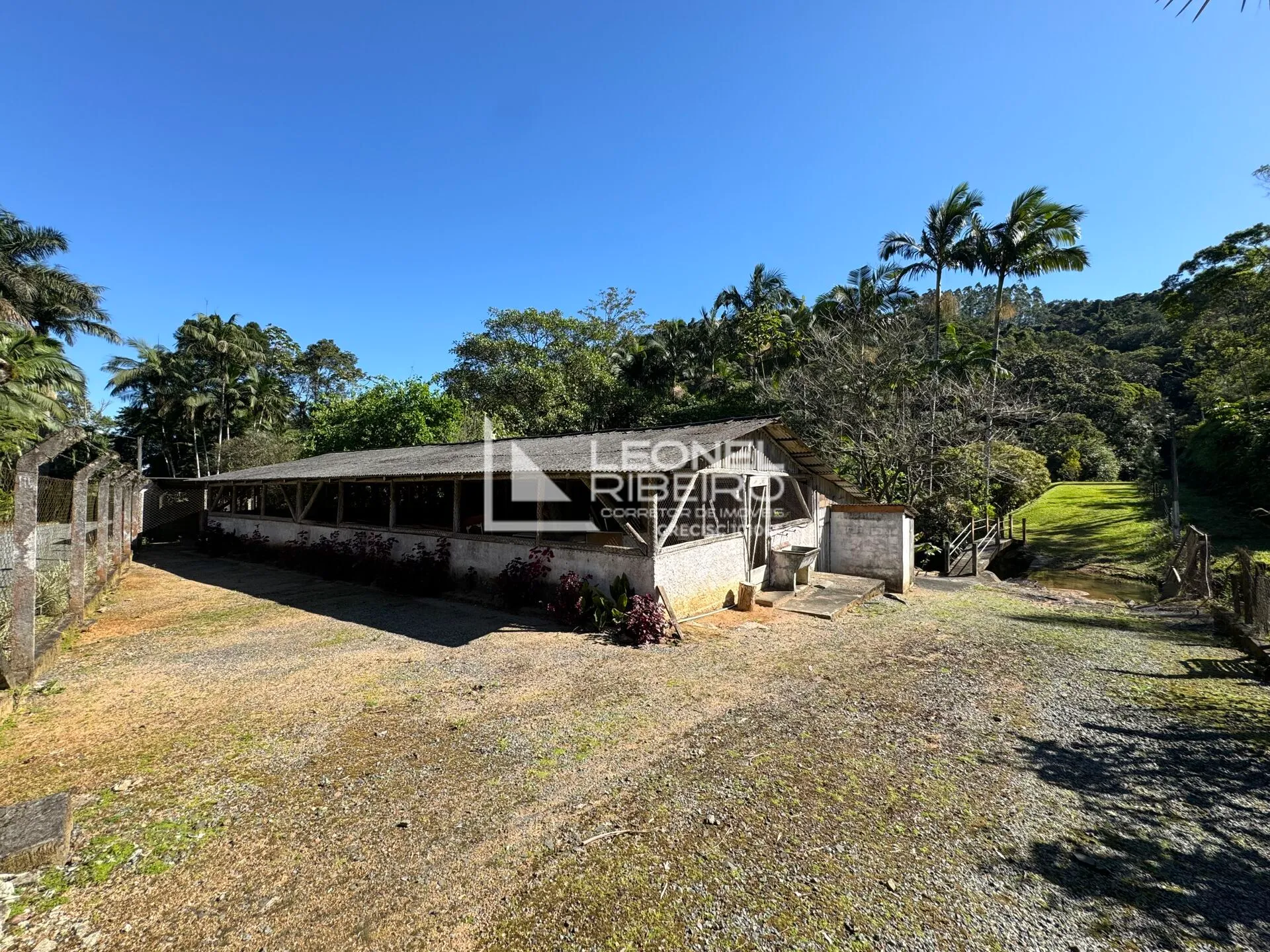 Sítio com 4 dormitórios à venda, 36.000m no Bairro Alto Pomeranos em Rio dos Cedros/SC. — foto 5