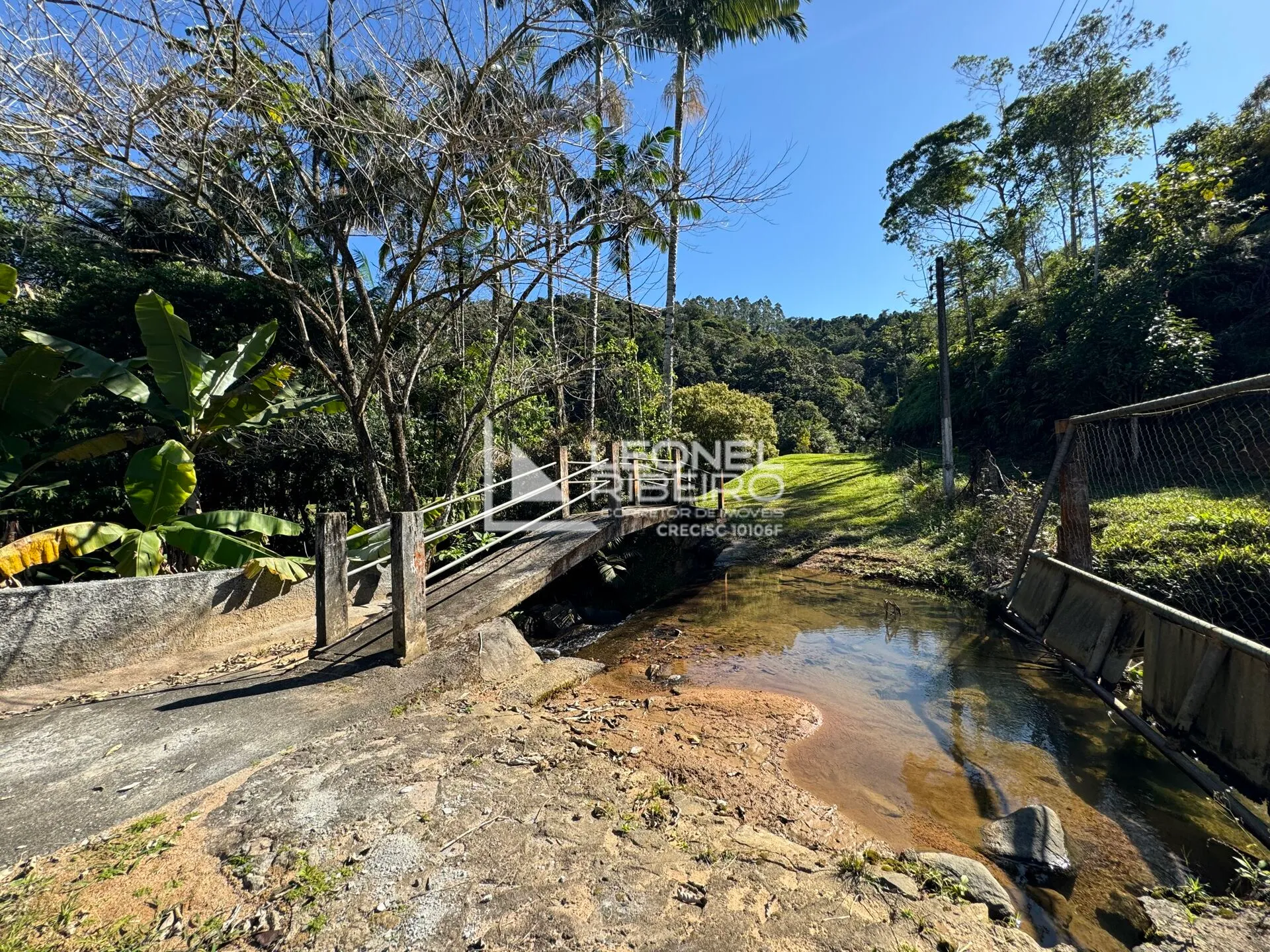 Sítio com 4 dormitórios à venda, 36.000m no Bairro Alto Pomeranos em Rio dos Cedros/SC. — foto 6