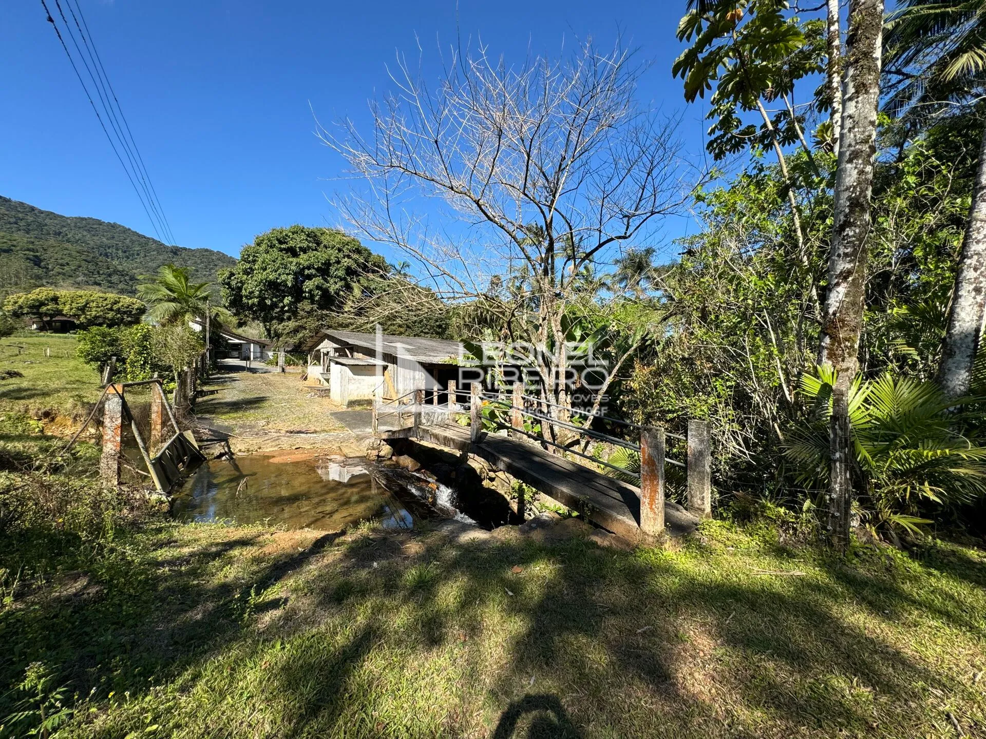 Sítio com 4 dormitórios à venda, 36.000m no Bairro Alto Pomeranos em Rio dos Cedros/SC. — foto 7