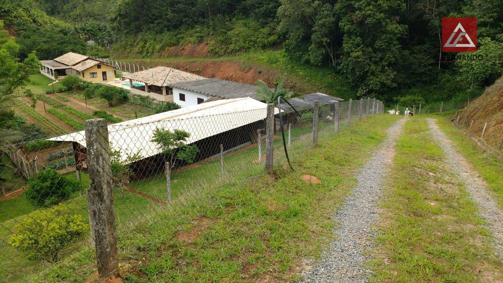 Sítio com 2 suítes à venda, 51157 m por R$ 1.450.000 - Belchior Alto - Gaspar/SC — foto 2