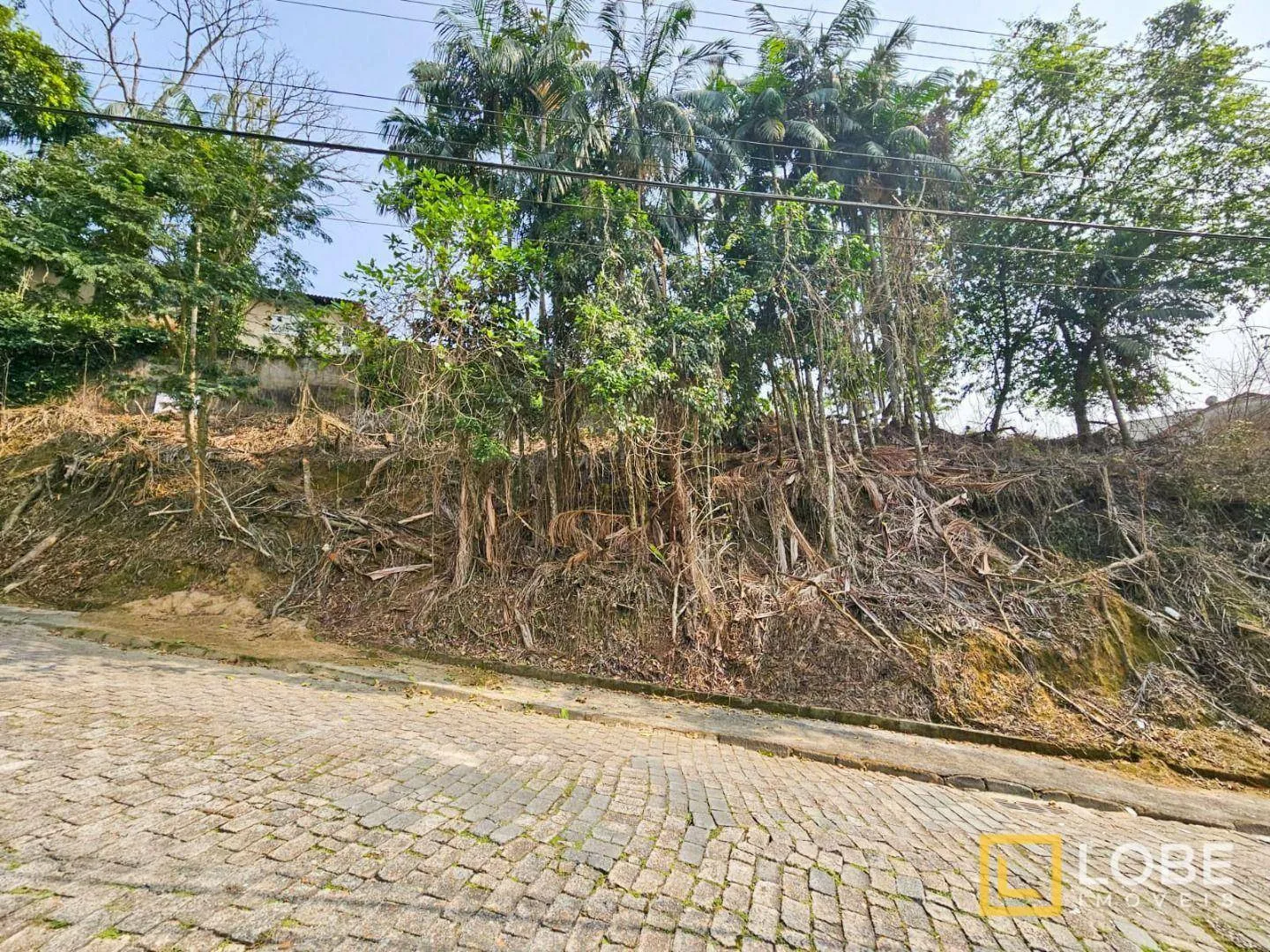 Terreno à venda, 1447 m por R$ 595.000,00 - Escola Agrícola - Blumenau/SC - foto 1