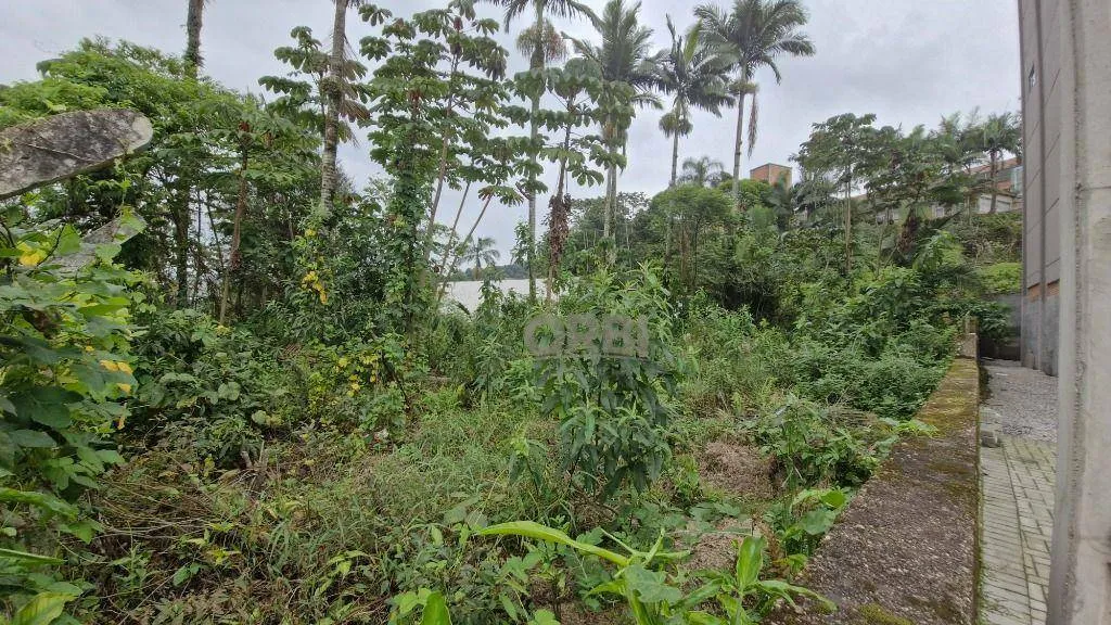Terreno à venda, 1192 m por R$ 1.200.000,00 - Figueira - Gaspar/SC — foto 4