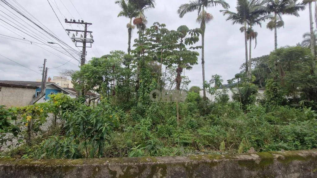 Terreno à venda, 1192 m por R$ 1.200.000,00 - Figueira - Gaspar/SC — foto 5