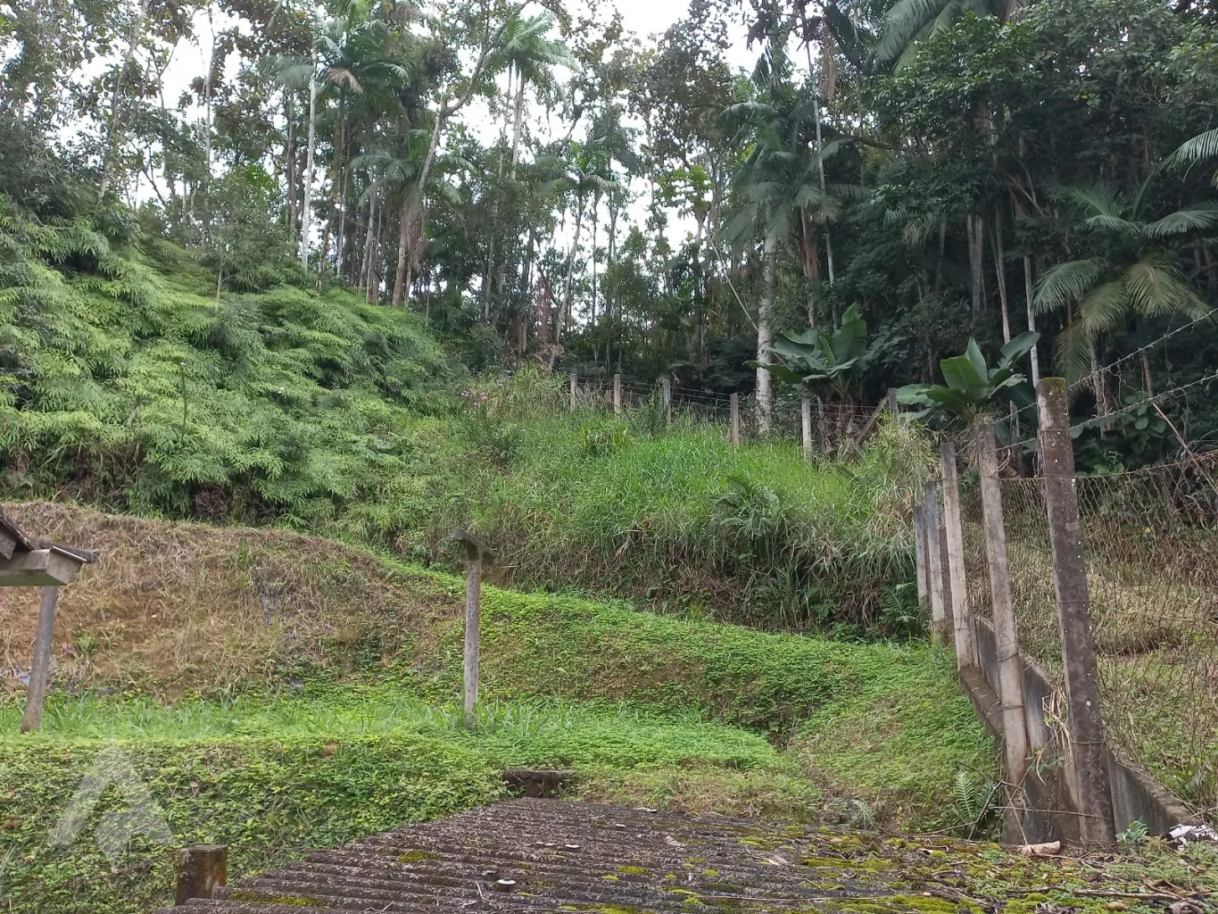 Terreno 42.060,00m à venda por R$530.000,00 - Bairro Macucos - Gaspar/SC — foto 3