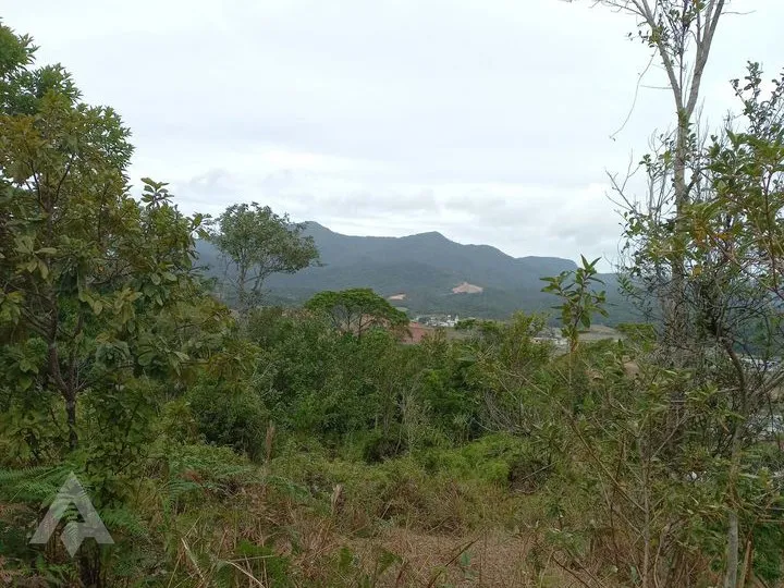 Terreno 42.060,00m à venda por R$530.000,00 - Bairro Macucos - Gaspar/SC — foto 4