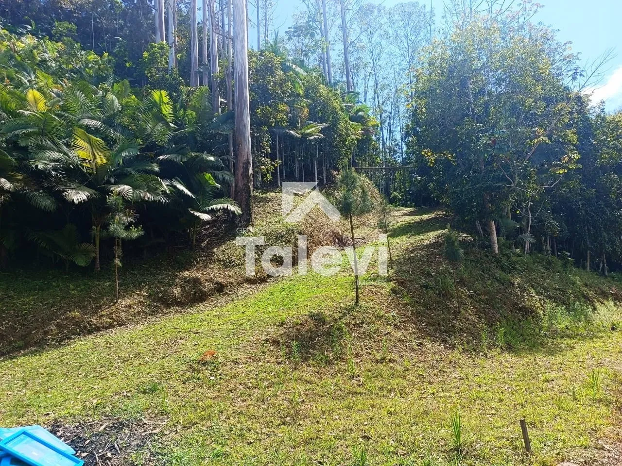 TERRENO A 2 KM DO CENTRO DE POMERODE — foto 2