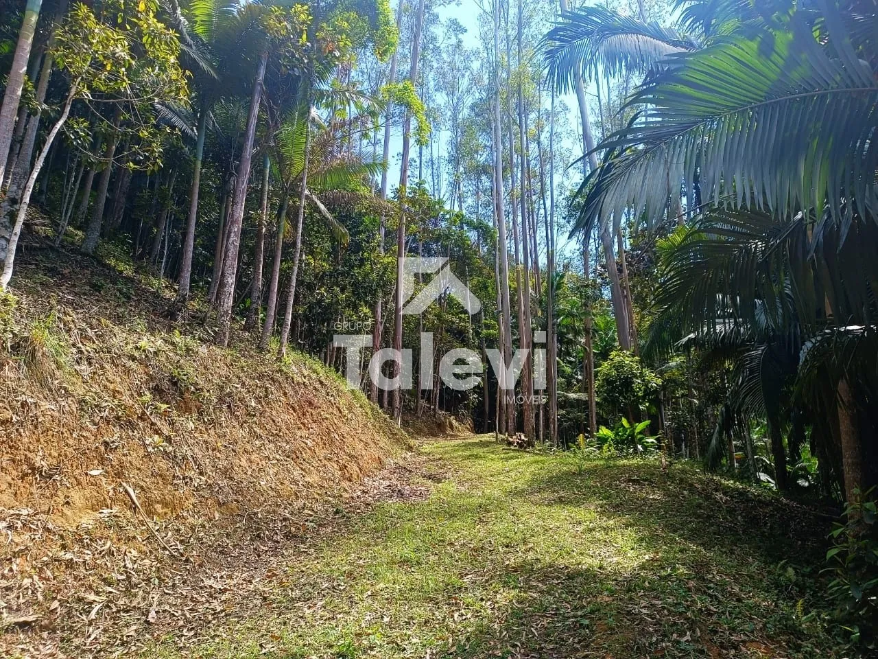 TERRENO A 2 KM DO CENTRO DE POMERODE — foto 3