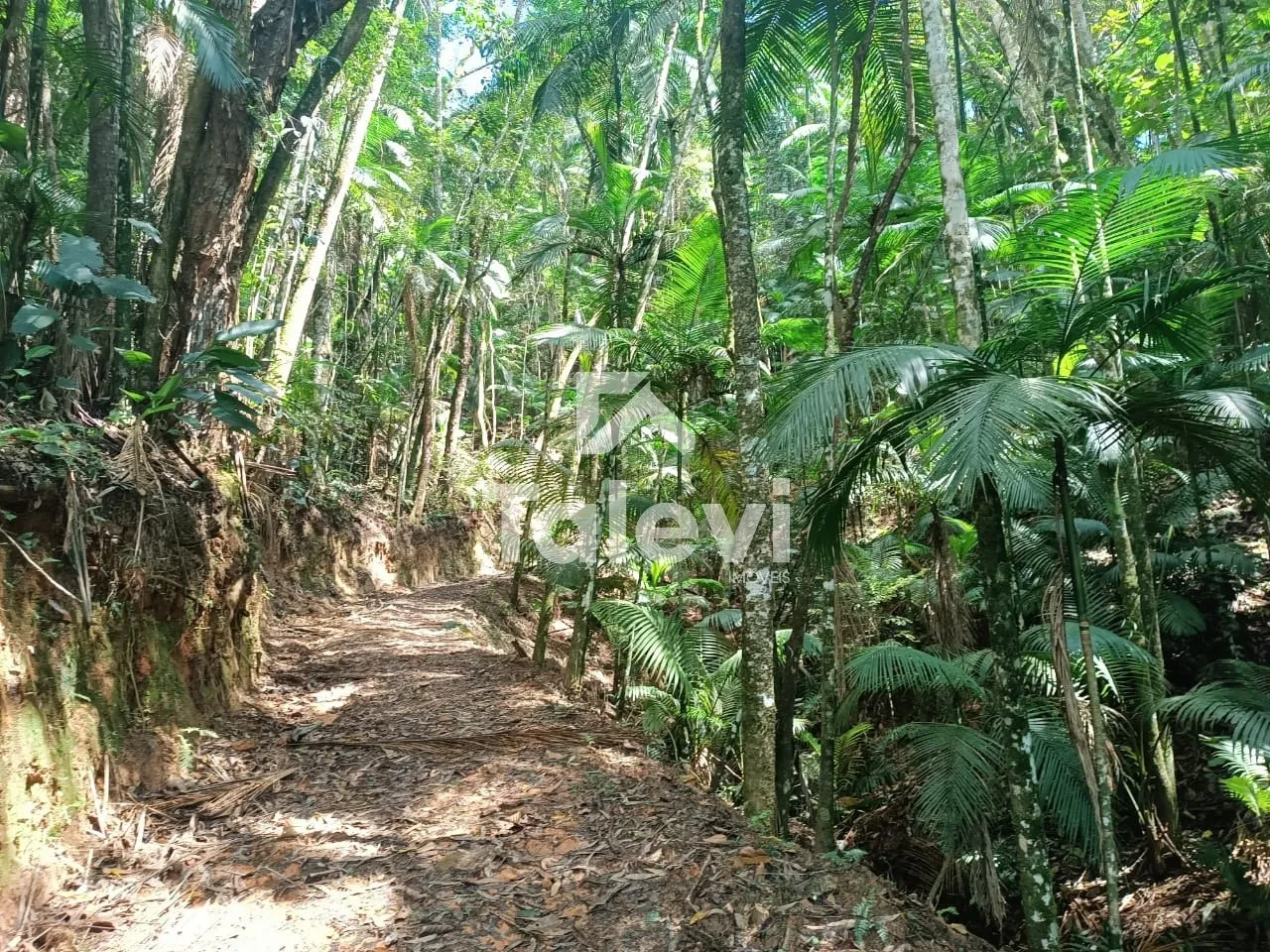 TERRENO A 2 KM DO CENTRO DE POMERODE — foto 5