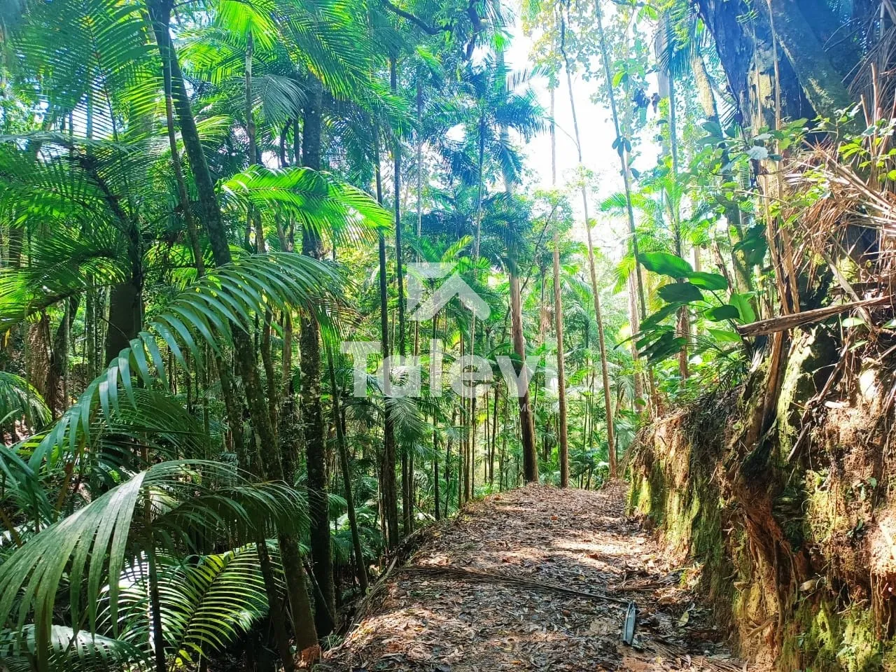 TERRENO A 2 KM DO CENTRO DE POMERODE — foto 6