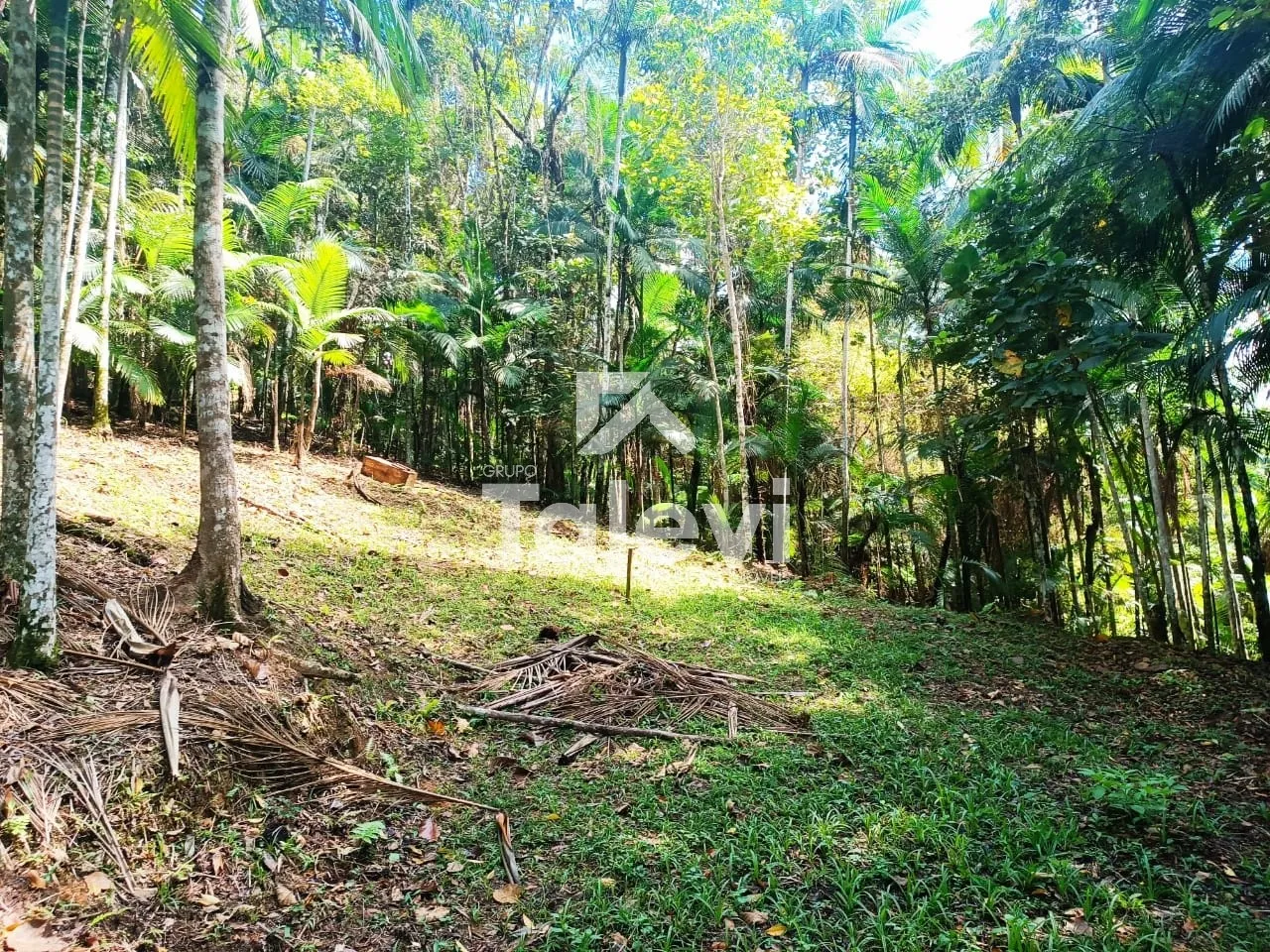 TERRENO A 2 KM DO CENTRO DE POMERODE — foto 7