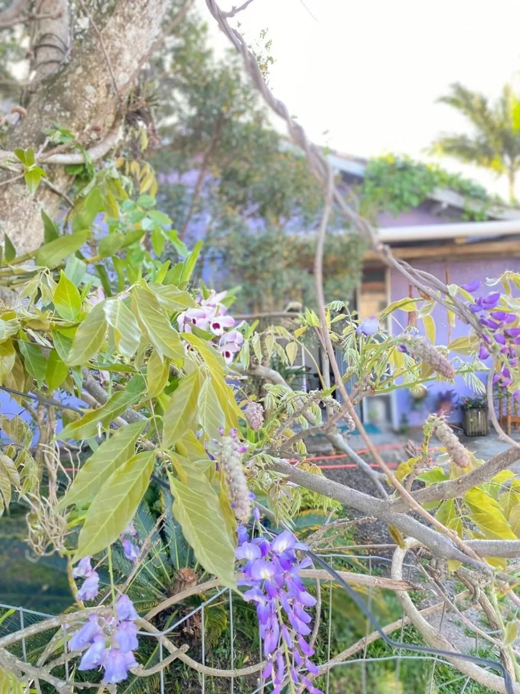 Imóvel — foto 3