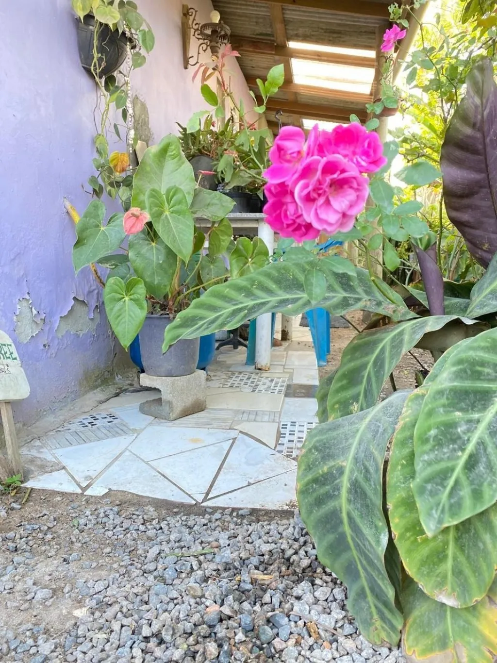 Imóvel — foto 5