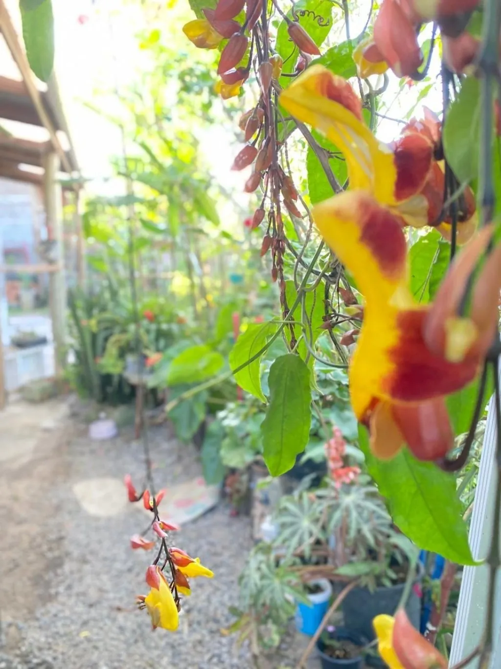 Imóvel — foto 6