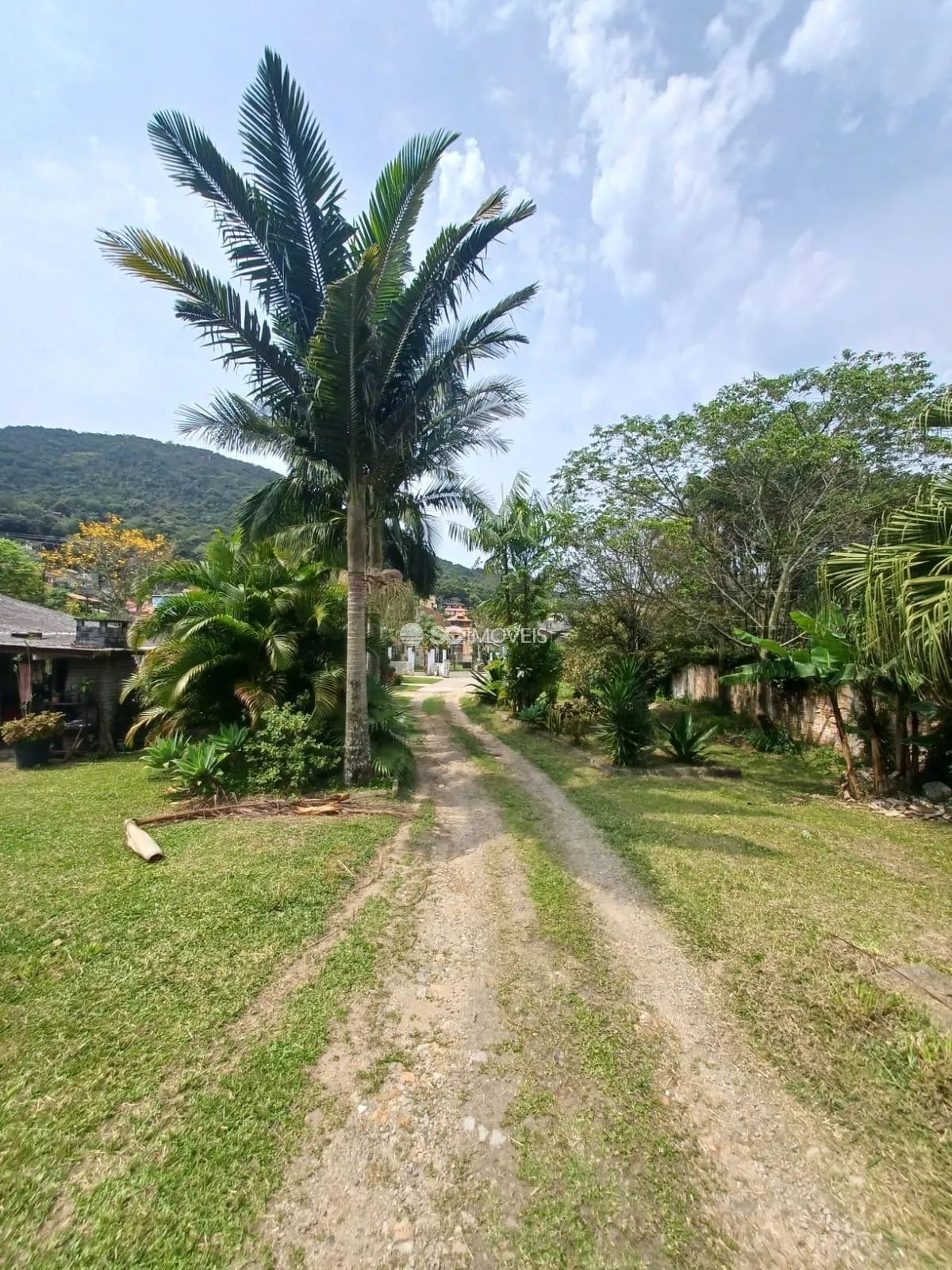 Imóvel - foto 1