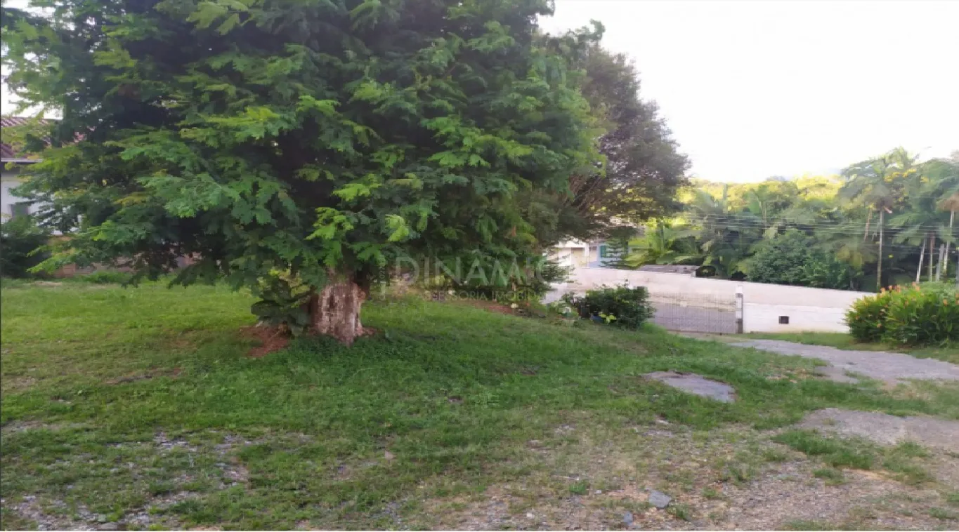 Lote industrial ou residencial no bairro Salto do Norte em Blumenau com 7.663,86m2, sendo 27,50 metros de frente. — foto 3