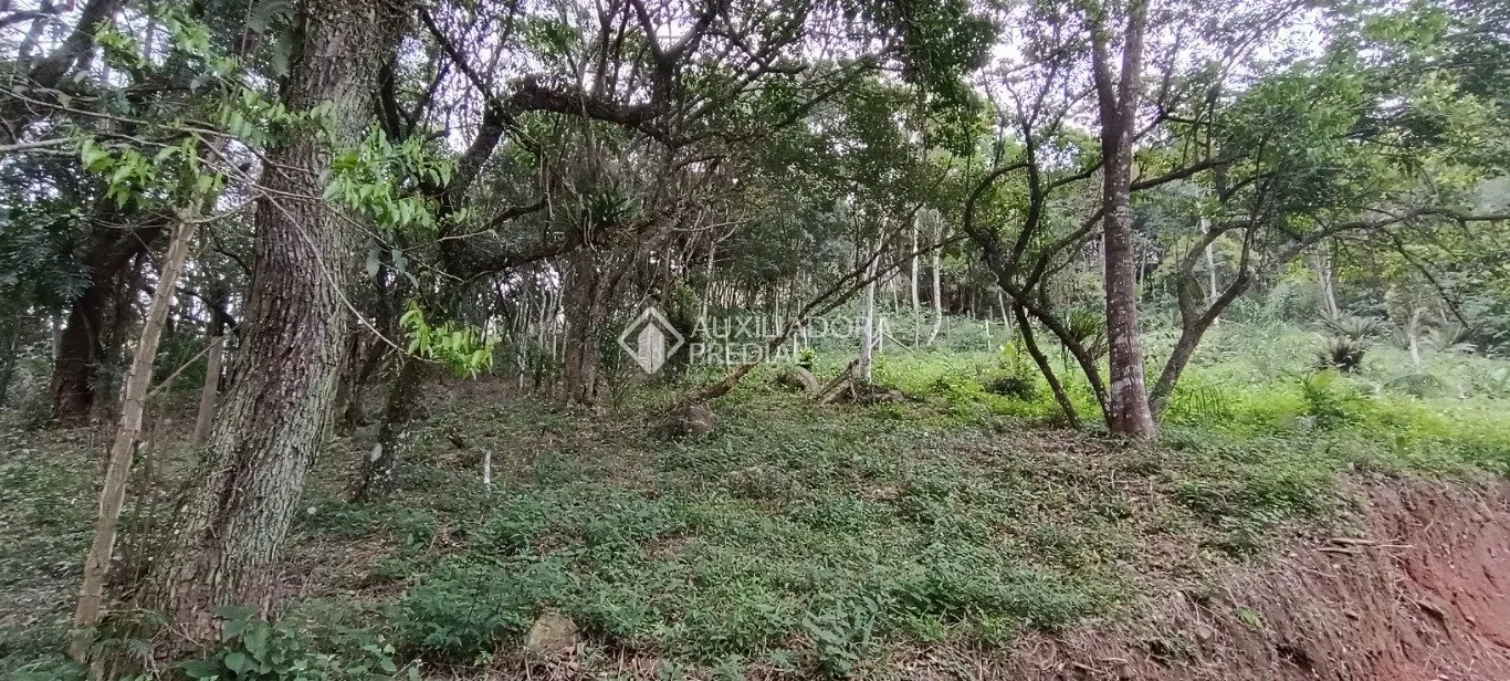 Imóvel — foto 6