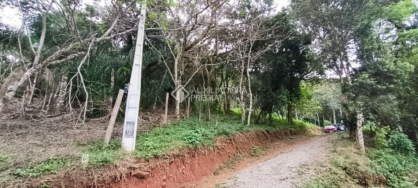 Imóvel - foto 1