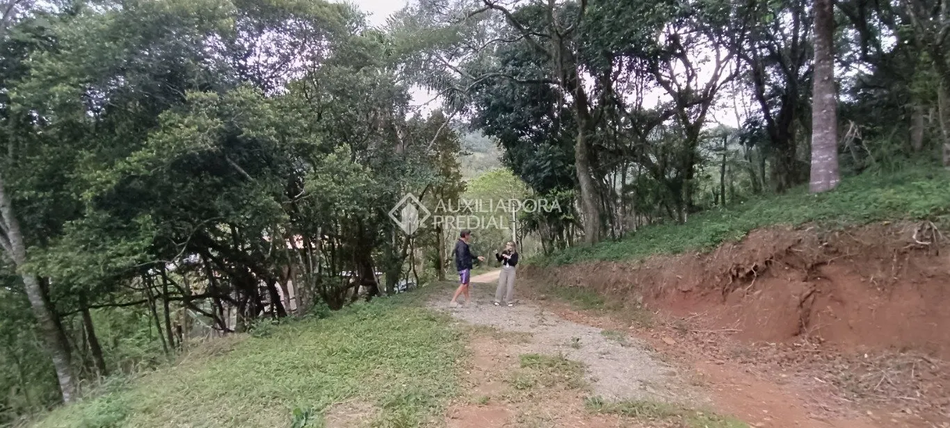 Imóvel — foto 3