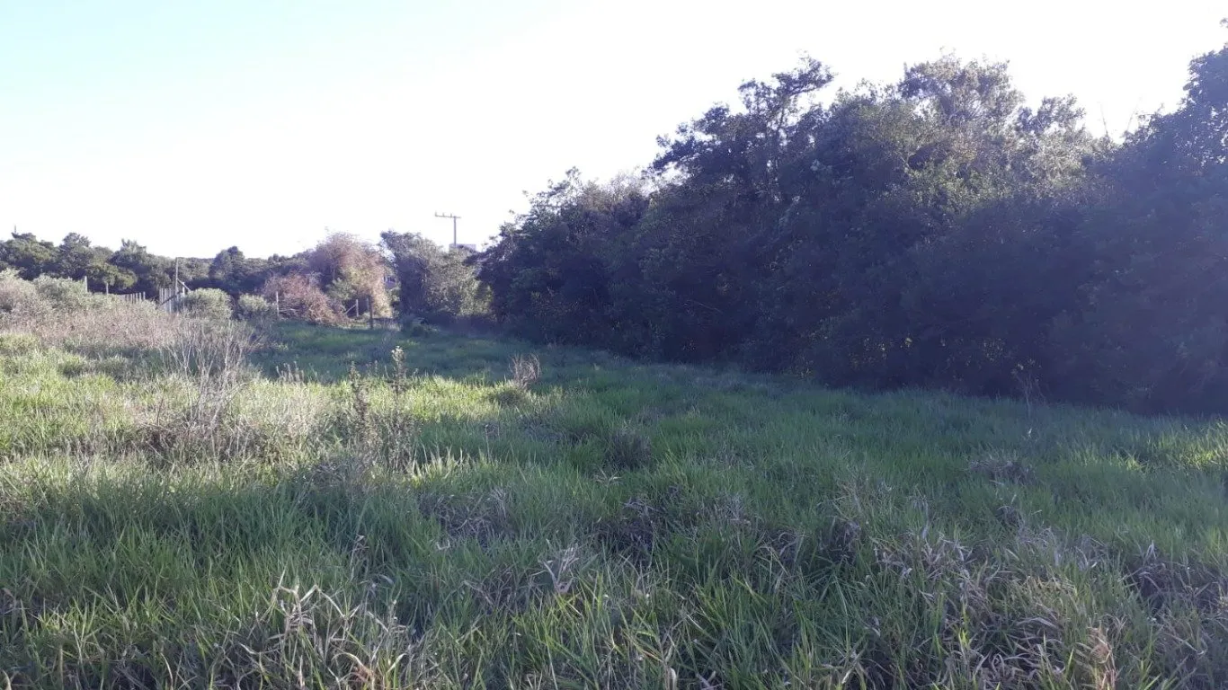 Imóvel — foto 6