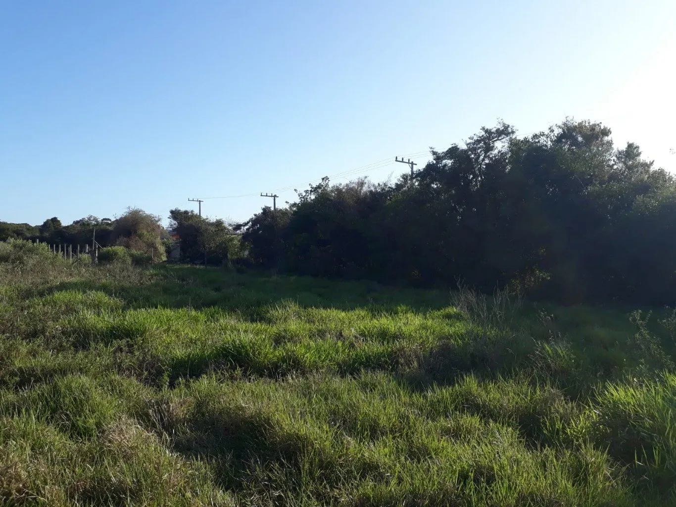 Imóvel — foto 3