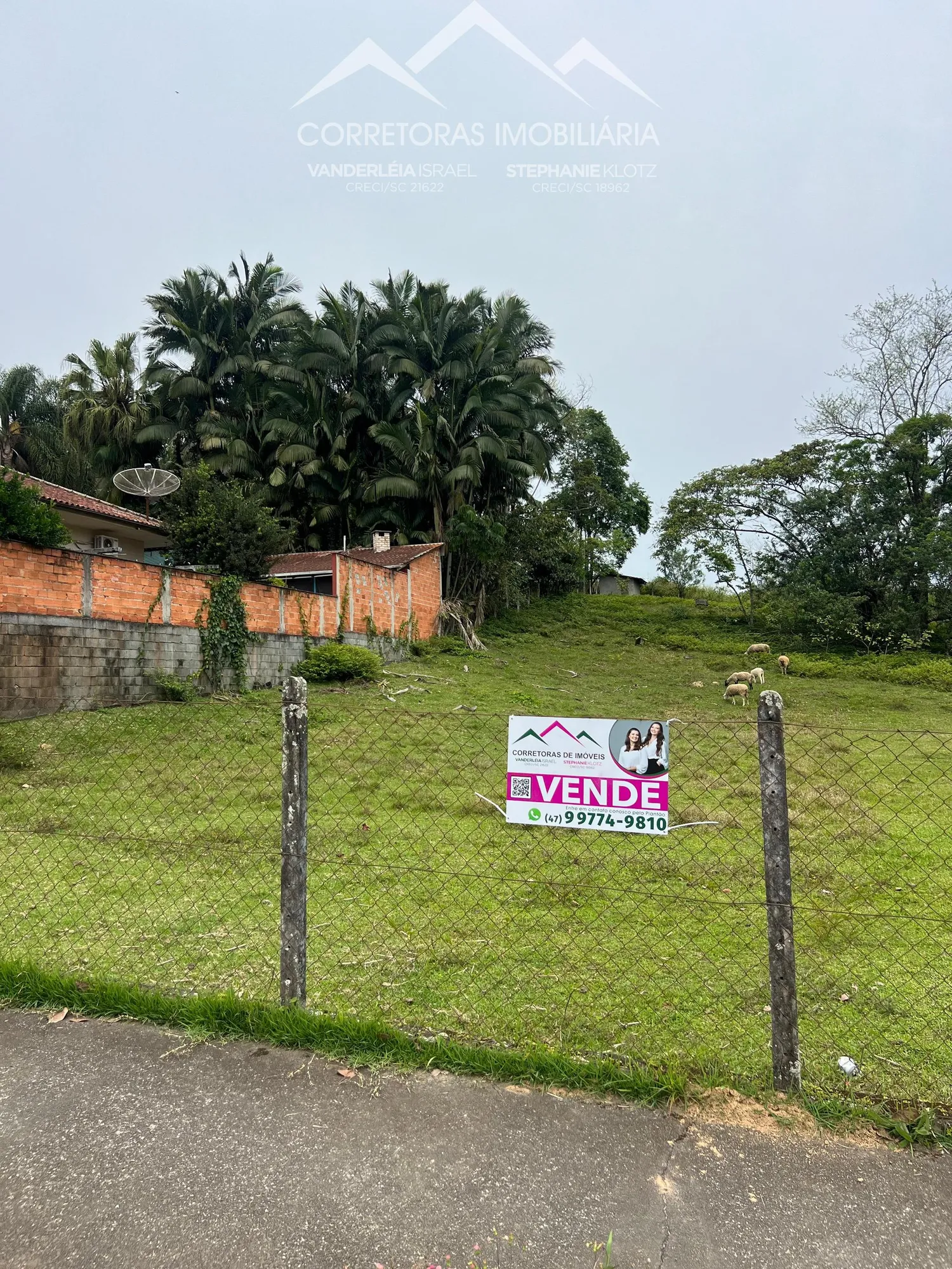 TERRENO - Testo Rega, Pomerode SC - foto 1