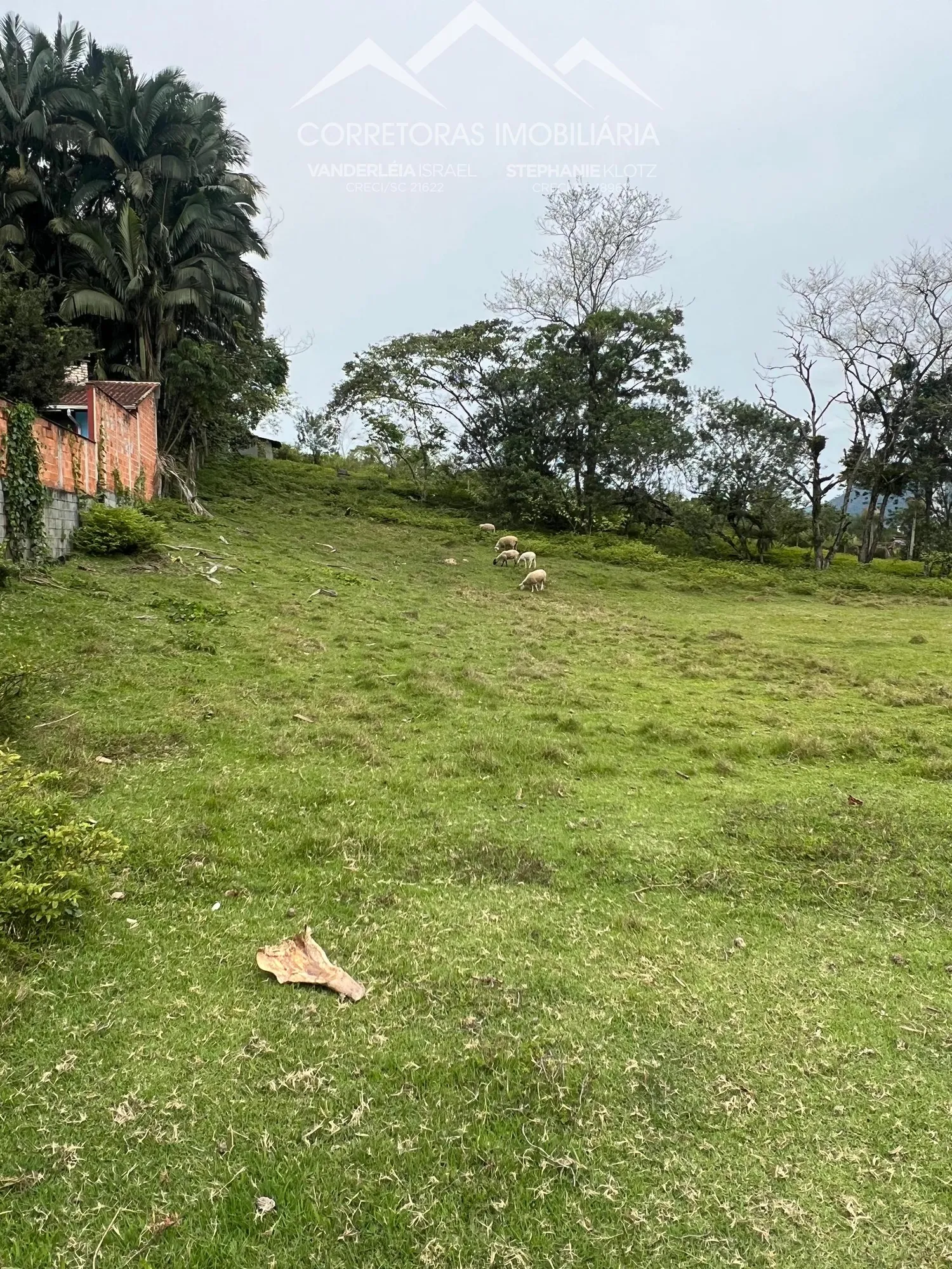 TERRENO - Testo Rega, Pomerode SC — foto 2