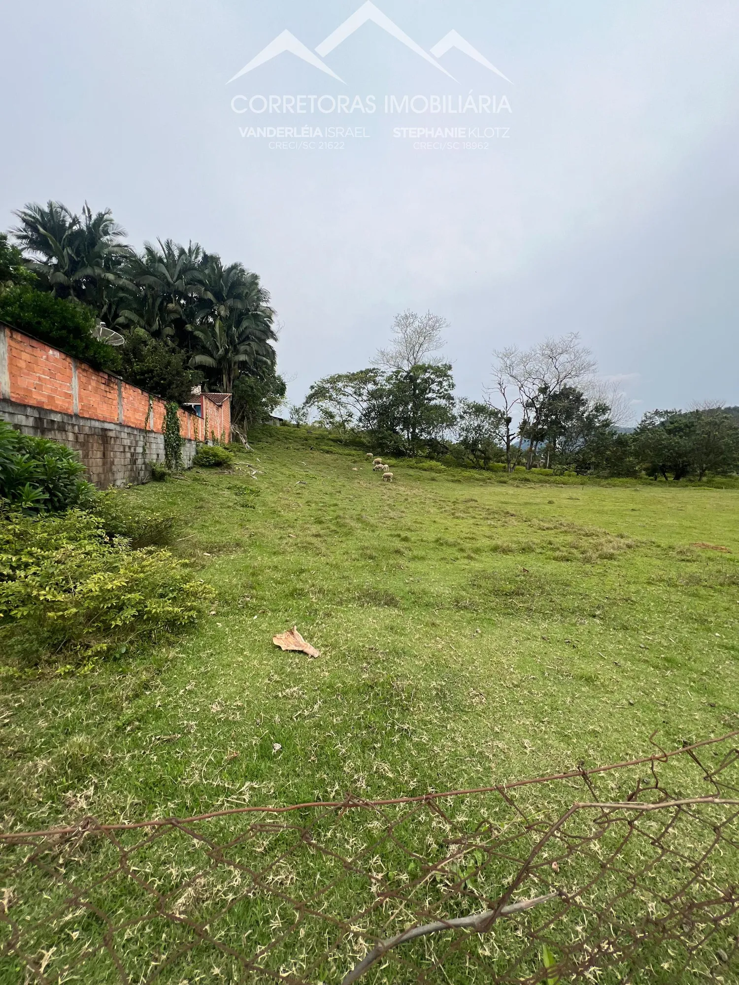 TERRENO - Testo Rega, Pomerode SC — foto 5
