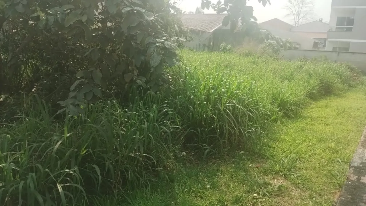 Terreno plano no bairro Carijós em Indaial. — foto 3