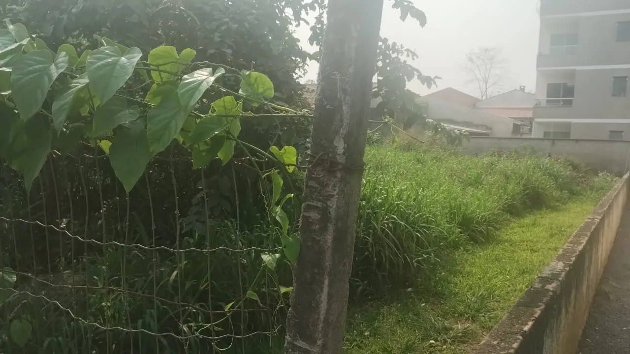 Terreno plano no bairro Carijós em Indaial. — foto 4