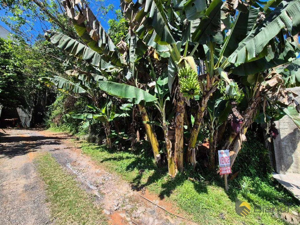 Terreno à venda, 792 m por R$ 350.000,00 - Itoupava Norte - Blumenau/SC — foto 2