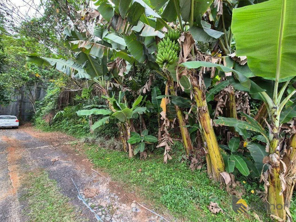 Terreno à venda, 792 m por R$ 350.000,00 - Itoupava Norte - Blumenau/SC — foto 5