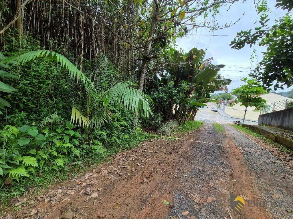 Terreno à venda, 792 m por R$ 350.000,00 - Itoupava Norte - Blumenau/SC — foto 6