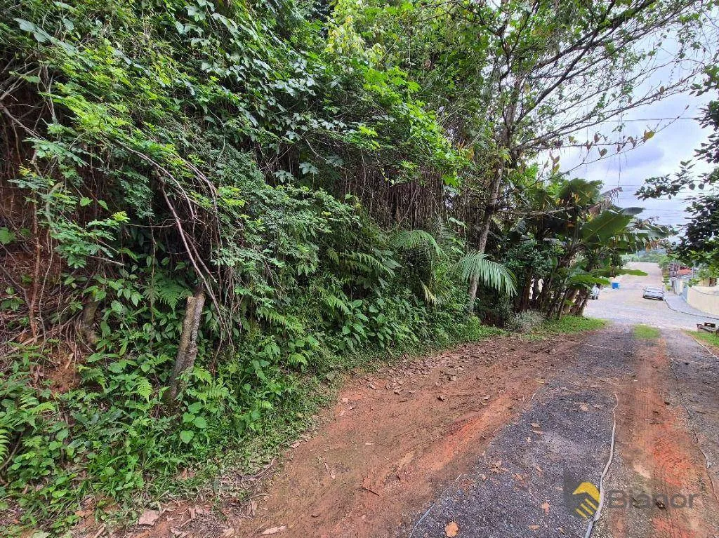 Terreno à venda, 792 m por R$ 350.000,00 - Itoupava Norte - Blumenau/SC — foto 7